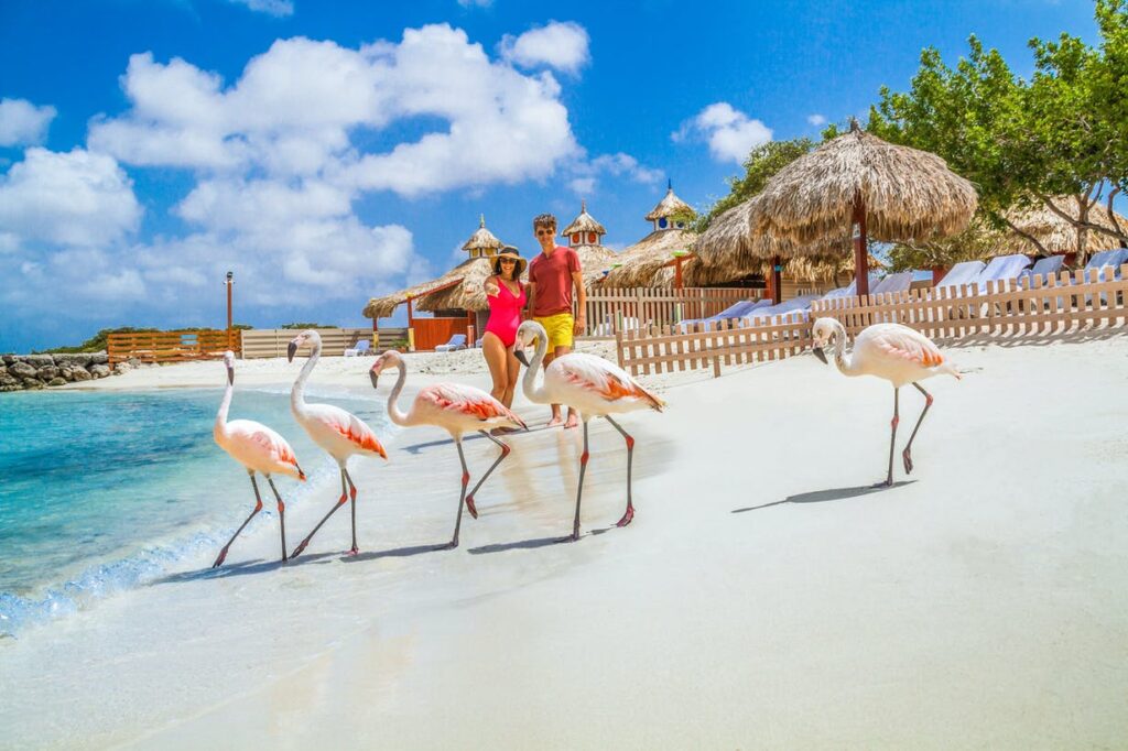 The Ultimate Guide to Aruba’s Must-See Attractions